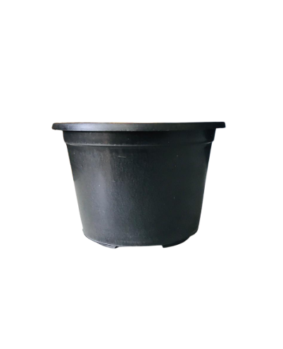 Plastic Pot - 12cm