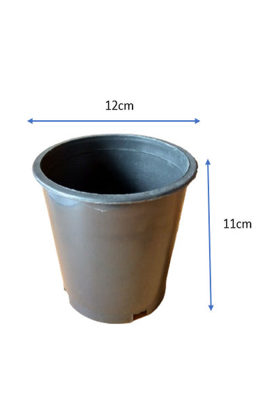 Plastic Pot - 12cm