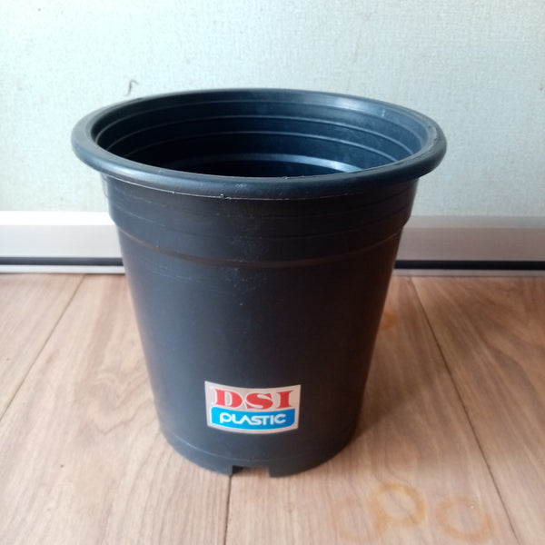 Plastic Pot - (Diameter 20cm / Height 19cm)
