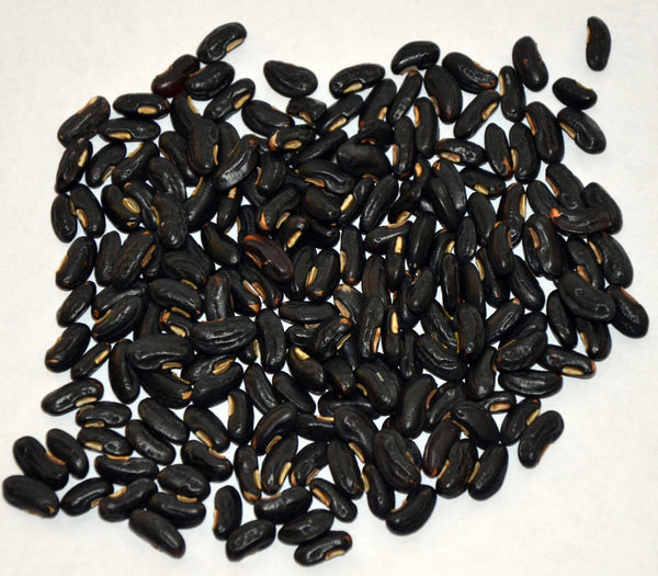 Yard Long Beans Black
