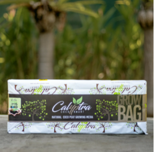 Calyptra Grow Bag (2 Plants) Natural Cocopeat Growing Media