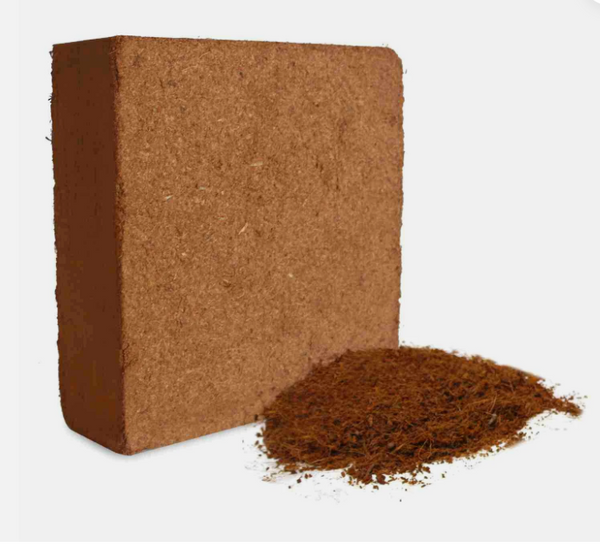 Calyptra Grow Bag (1 Plant ) Natural Cocopeat Growing Media