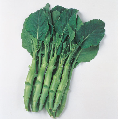 Chinese Kale (F1)