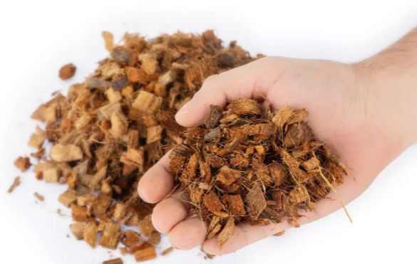 Coconut Husk Chips 2Kg - Medium Particle Size