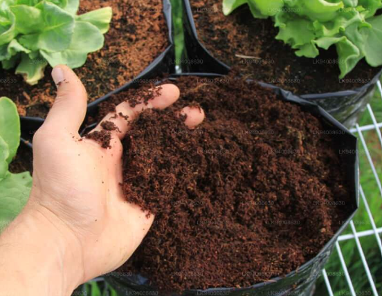 Coco Peat - 2kg / 5kg / 10kg