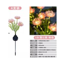 Solar Dendelion Light