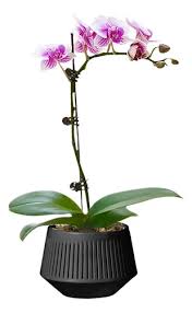Black Diamond Pot Set