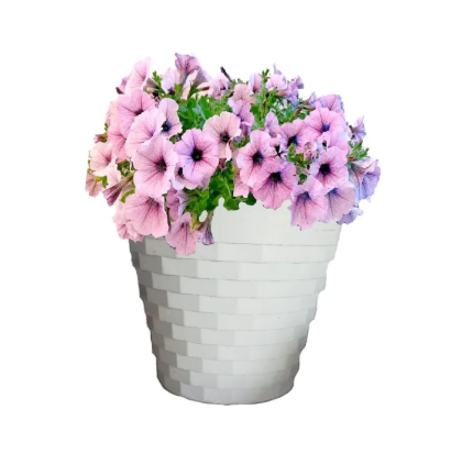 Diamond Plastic Pot Medium - (Diameter 16cm / Height 16cm)