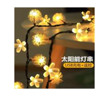 String Lights