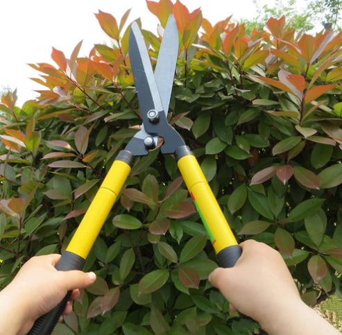 Garden Shear