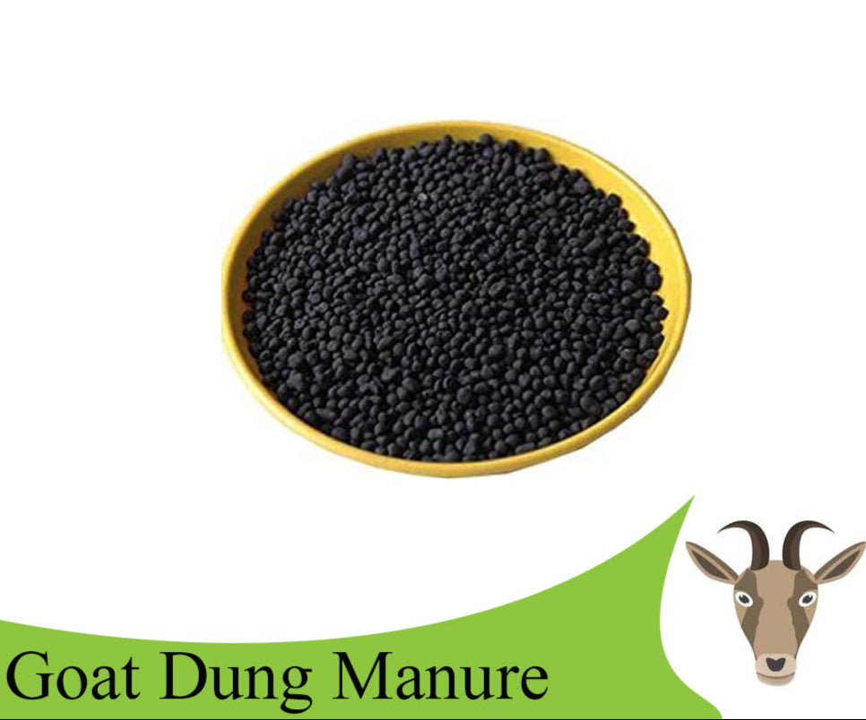 goat dung Goat Manure