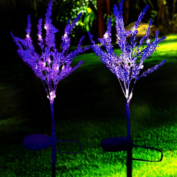 Solar Lavender Light