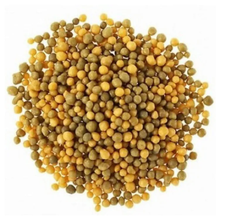 Osmocote High N Fertilizer (16-11-10+2Mgo+TE)