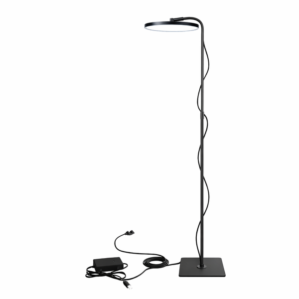 Plant Fill Light