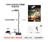 Plant Fill Light