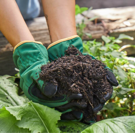 Standard Potting Mix (P&P) - 10Kg