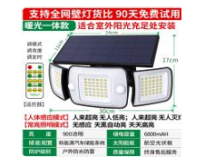 Solar Wall Light