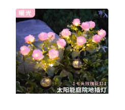 Solar Rose Light