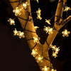 String Lights