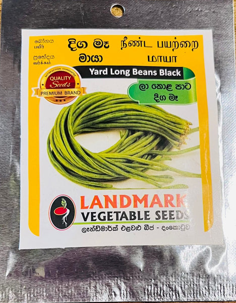 Yard Long Beans Black
