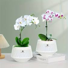 White Diamond Pot Set - 12cm