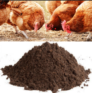 Poultry litter - 3Kg