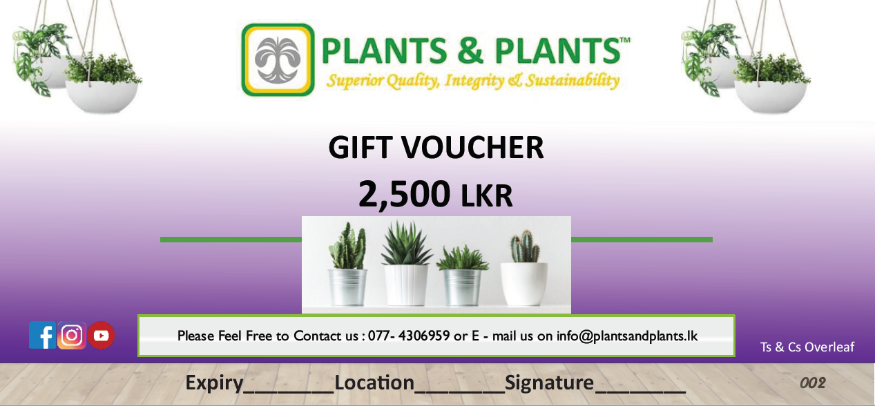 Plants & Plants Gift Voucher - Rs. 2,500
