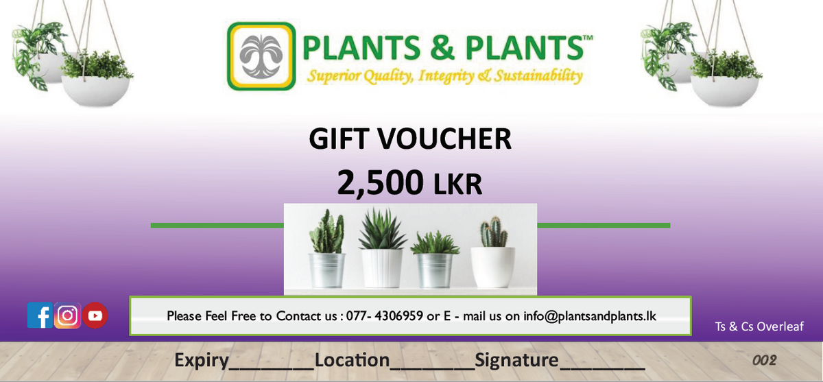 Plants & Plants Gift Voucher Rs. 2,500 Plants & Plants Supercentre
