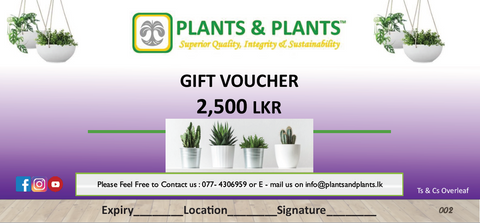 Plants & Plants Gift Voucher - Rs. 2,500