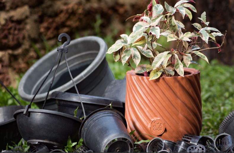 8 clay pots for plants Clay Pot Lines (8"x 8"x 8") – Plants & Plants Supercentre