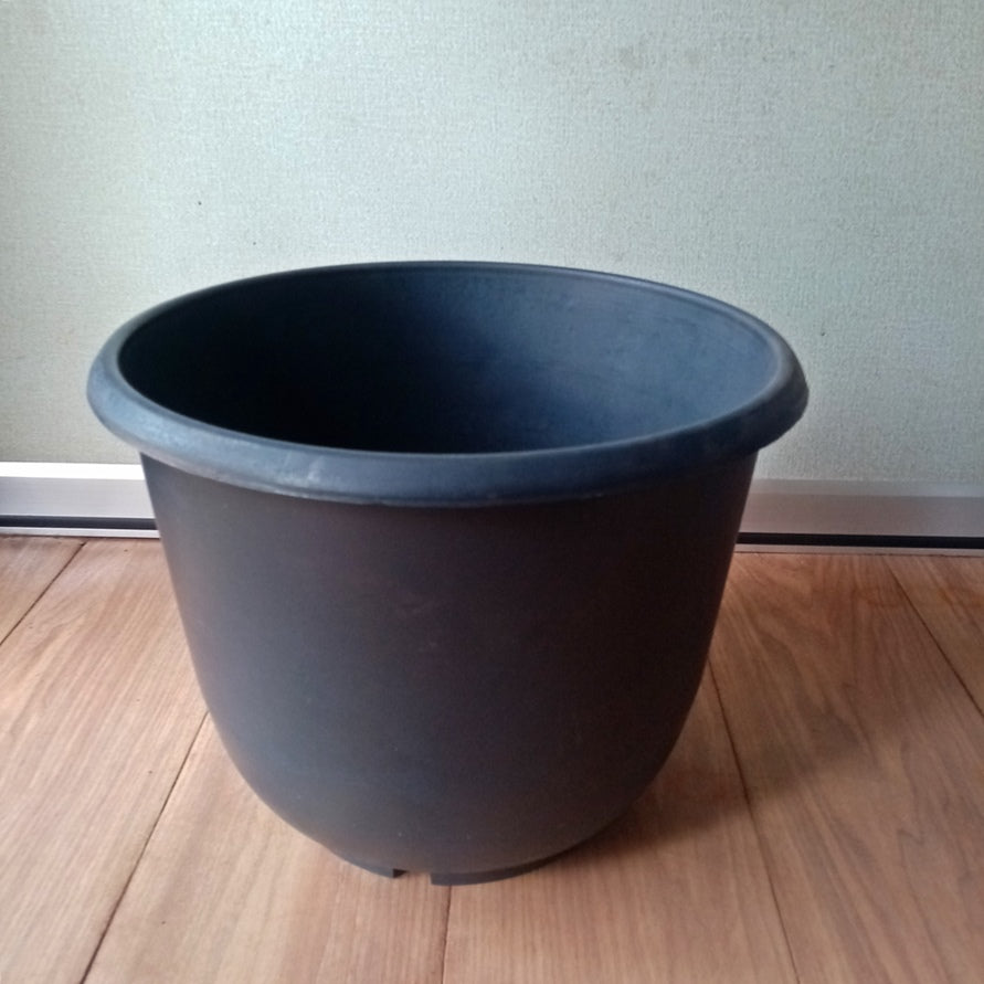 24 cm plastic plant pot Plastic Pot