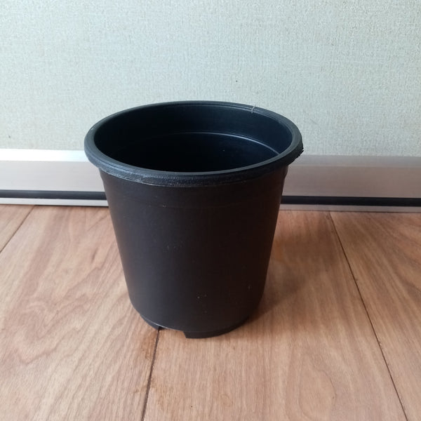 Plastic Pot - (Diameter 16 cm / Height 16cm)