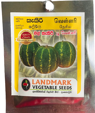 Cooking Melon (Kekiri)