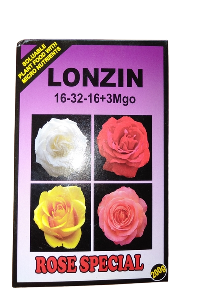 Lonzin Roses