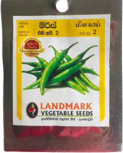 plant green chillies seeds Chili (M.I.2) – Plants & Plants Supercentre
