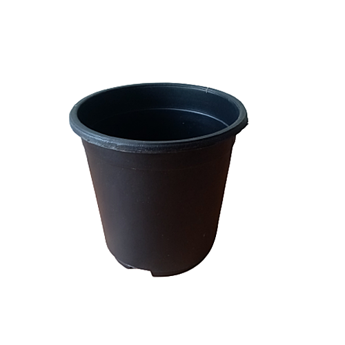 Plastic pot (Diameter 14 cm / Height 13 cm).