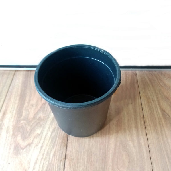 Plastic pot (Diameter 14 cm / Height 13 cm).