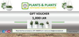 Plants & Plants Gift Voucher - Rs. 1,000