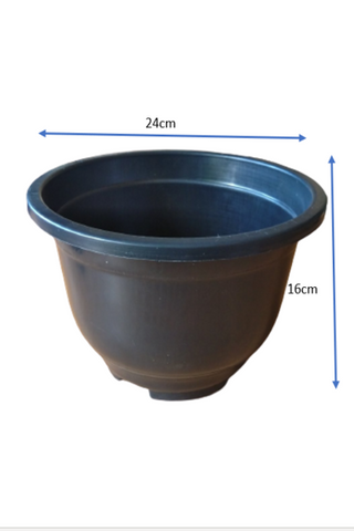 24cm Plastic Pot